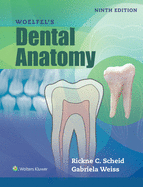 Woelfel's Dental Anatomy
