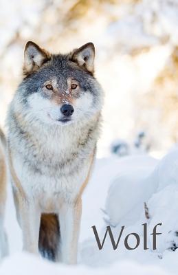 Wolf: A discreet password book for people who love wolves - Clark, Ceri