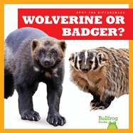 Wolverine or Badger?