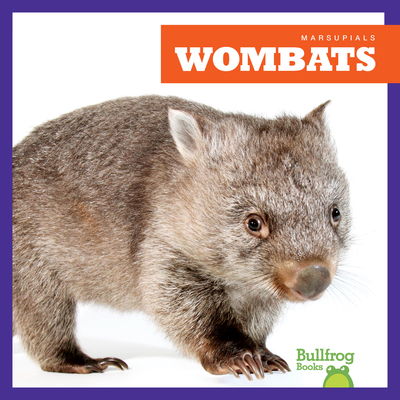 Wombats - Deniston, Natalie