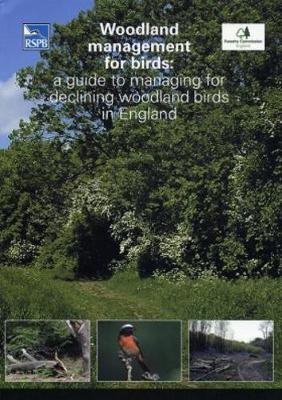 Woodland Management for Birds: A Guide to Managing for Declining Woodland Birds in England - Symes, N, and Currie, F