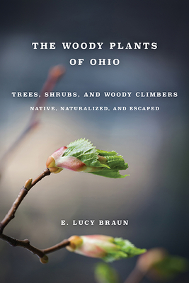 Woody Plants of Ohio: Trees, Shrubs, and Woody Climbers: Native, Naturalized, and Escaped - Braun, E Lucy