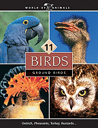 World of Animals, Set 2: Birds