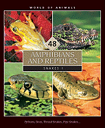 World of Animals, Set 5: Amphibians and Reptiles