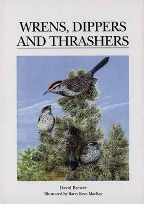 Wrens, Dippers and Thrashers - Brewer, David, Professor