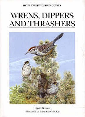 Wrens, Dippers and Thrashers - Brewer, David