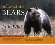 Yellowstone Bears in the Wild - Halfpenny, James C, Dr.