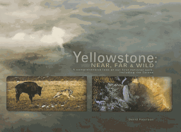 Yellowstone: Near, Far, and Wild: A Comprehensive Look at Our First National Park, Including the Tetons