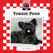 Yorkie-Poos