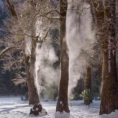 Yosemite - Cramer, Charles (Photographer)