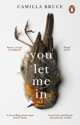 You Let Me In: The acclaimed, unsettling novel of haunted love, revenge and the nature of truth - Bruce, Camilla