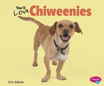 You'll Love Chiweenies - Saunders-Smith, Gail (Consultant editor), and Edison, Erin