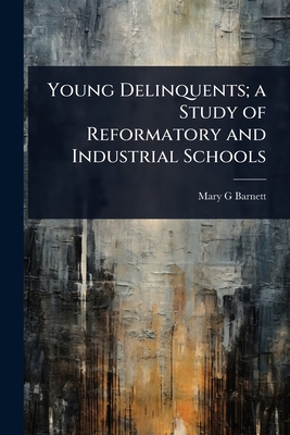 Young Delinquents; a Study of Reformatory and Industrial Schools - Barnett, Mary G