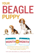Your Beagle Puppy Month by Month: Everything You Need to Know at Each State to Ensure Your Cute and Playful Puppy