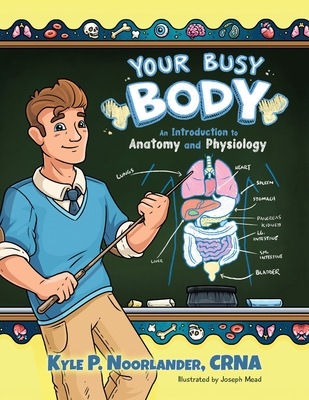 Your Busy Body: An Introduction to Anatomy and Physiology - Noorlander, Crna Kyle P