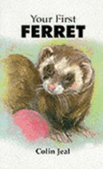 Your First Ferret