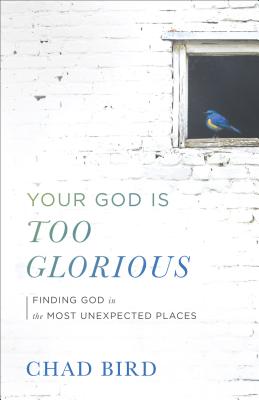 Your God Is Too Glorious - Bird, Chad (Preface by)