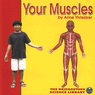 Your Muscles - Ylvisaker, Anne