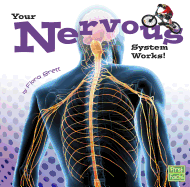 Your Nervous System Works (Your Body Systems)