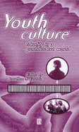 Youth Culture: Identity in a Postmodern World - Epstein, Jonathan, MD (Editor)