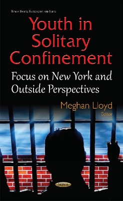 Youth in Solitary Confinement: Focus on New York & Outside Perspectives - Lloyd, Meghan (Editor)