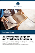 Zchtung von Sorghum auf Trockenheitstoleranz