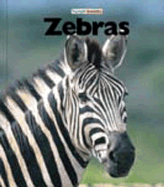 Zebras