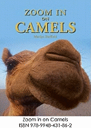 Zoom in on Camels - Sheffield, Marilyn