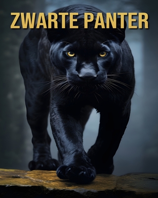 Zwarte Panter: Leuke en Interessante Feiten en Afbeeldingen Over Zwarte Panter - Orman, Victoria