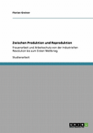 Zwischen Produktion und Reproduktion: Frauenarbeit und Arbeitsschutz von der Industriellen Revolution bis zum Ersten Weltkrieg